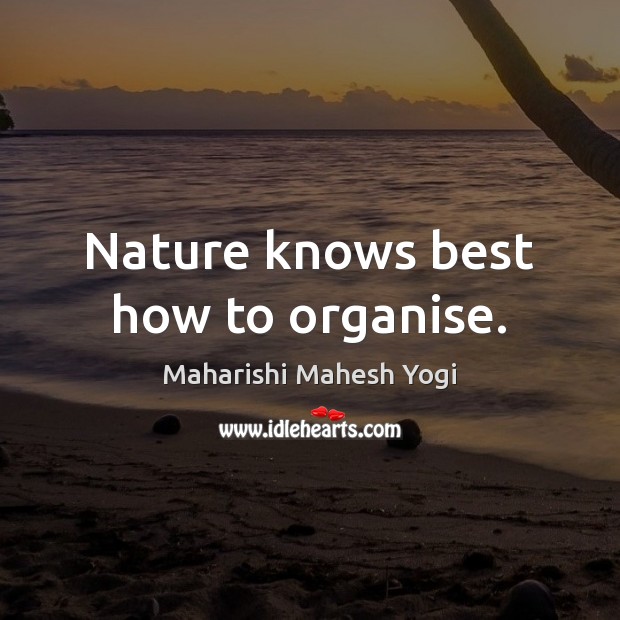 Nature knows best how to organise. Maharishi Mahesh Yogi Picture Quote