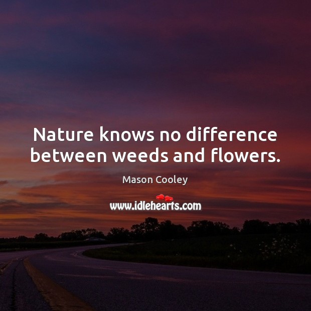 Nature knows no difference between weeds and flowers. Image
