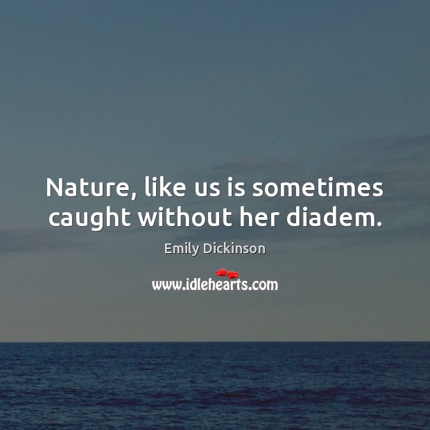Nature, like us is sometimes caught without her diadem. Image