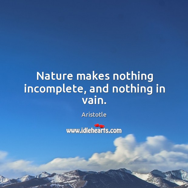Nature makes nothing incomplete, and nothing in vain. Image