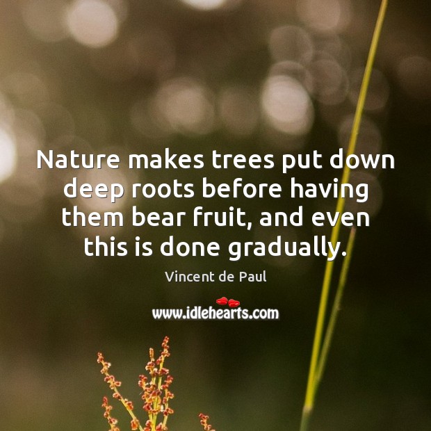 Nature makes trees put down deep roots before having them bear fruit, Vincent de Paul Picture Quote