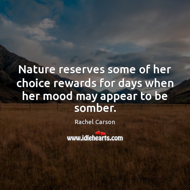 Nature reserves some of her choice rewards for days when her mood may appear to be somber. Rachel Carson Picture Quote
