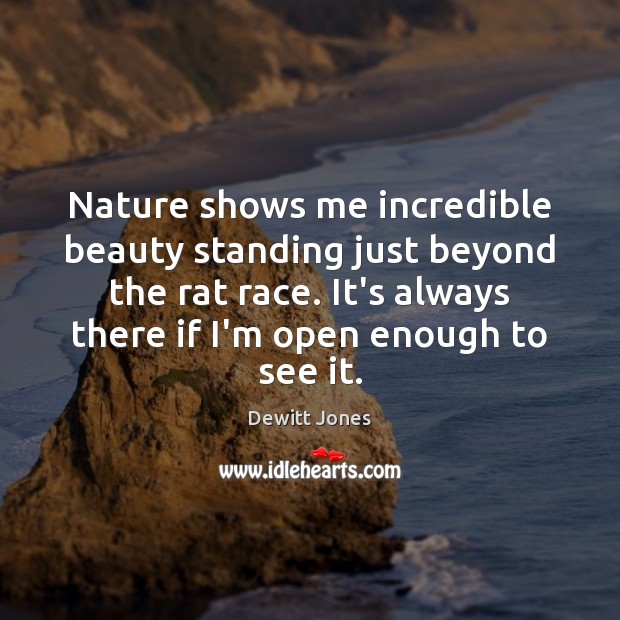 Nature shows me incredible beauty standing just beyond the rat race. It’s Dewitt Jones Picture Quote