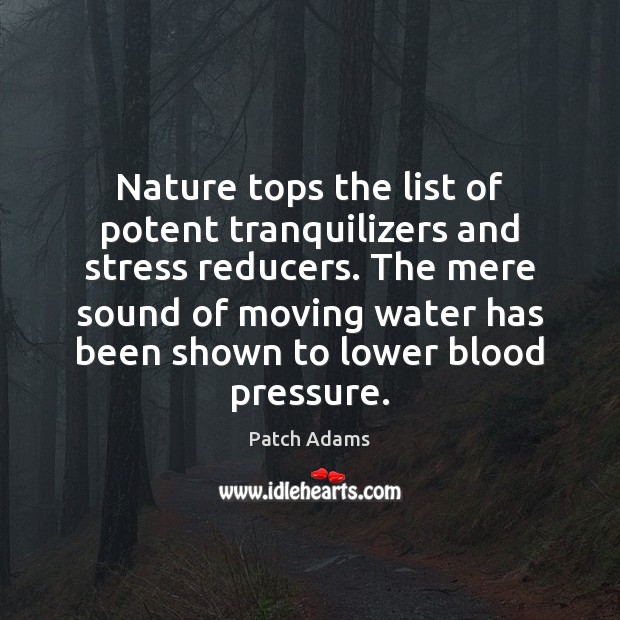 Nature tops the list of potent tranquilizers and stress reducers. The mere Image