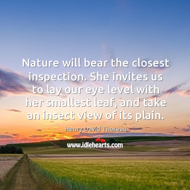 Nature will bear the closest inspection. She invites us to lay our eye level with her smallest leaf Henry David Thoreau Picture Quote