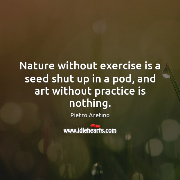 Nature without exercise is a seed shut up in a pod, and art without practice is nothing. Image