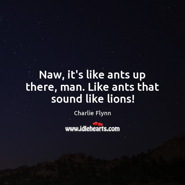 Naw, it’s like ants up there, man. Like ants that sound like lions! Charlie Flynn Picture Quote