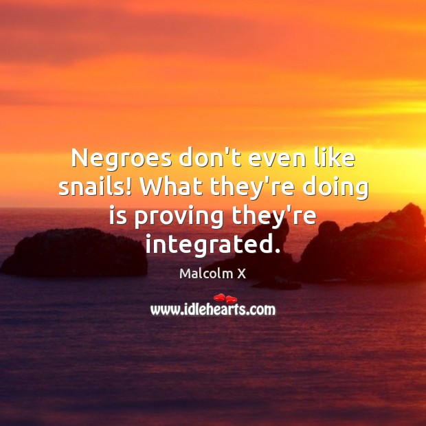 Negroes don’t even like snails! What they’re doing is proving they’re integrated. Malcolm X Picture Quote