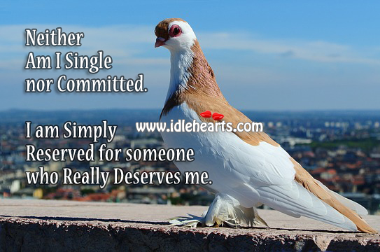 Neither am I single nor committed. Image