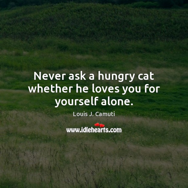 Never ask a hungry cat whether he loves you for yourself alone. Louis J. Camuti Picture Quote