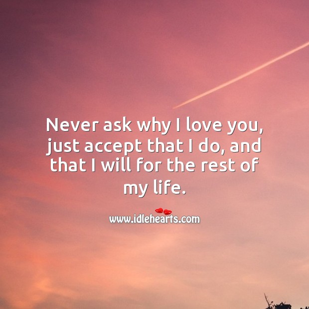 Never ask why I love you, just accept that I do, and that I will for the rest of my life. I Love You Quotes Image