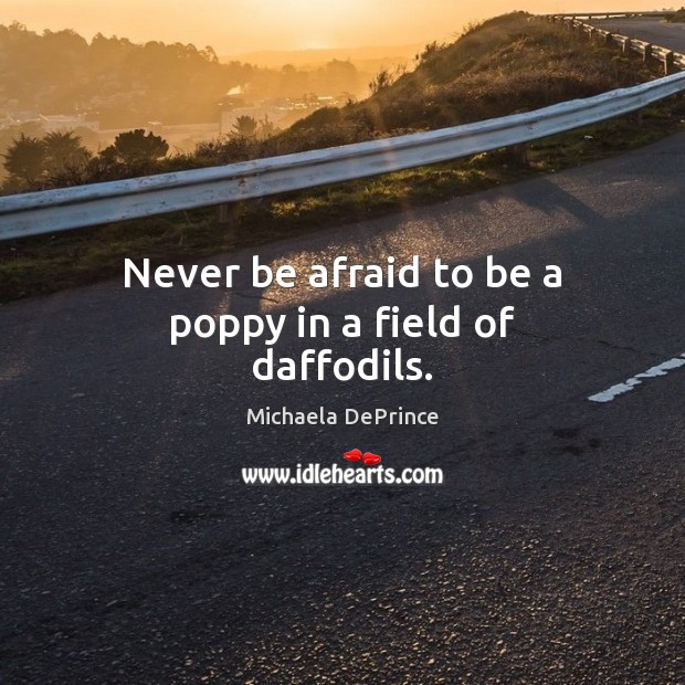 Never be afraid to be a poppy in a field of daffodils. Never Be Afraid Quotes Image
