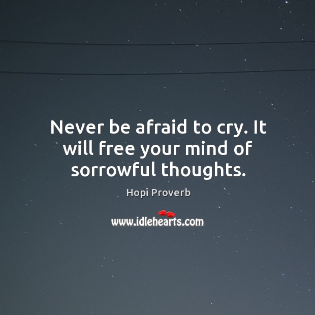 Never be afraid to cry. It will free your mind of sorrowful thoughts. Hopi Proverbs Image
