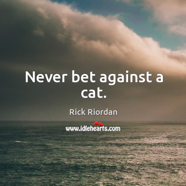 Never bet against a cat. Image