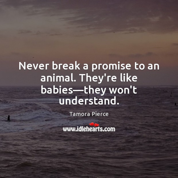 Never break a promise to an animal. They’re like babies—they won’t understand. Image