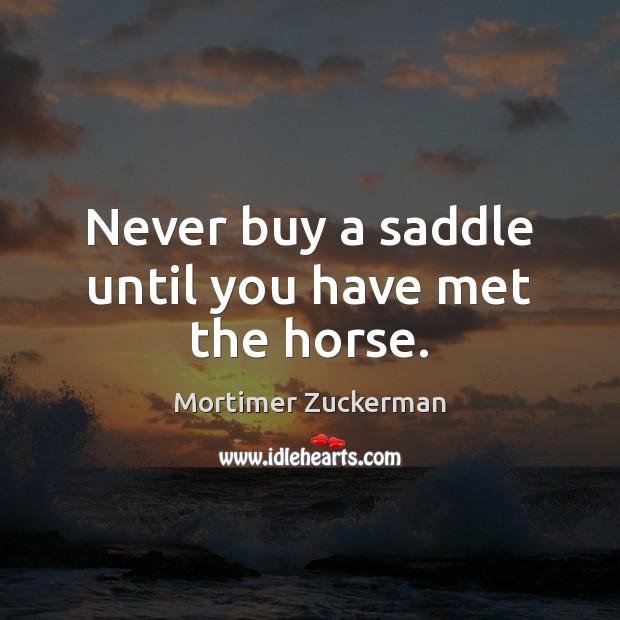 Never buy a saddle until you have met the horse. Image