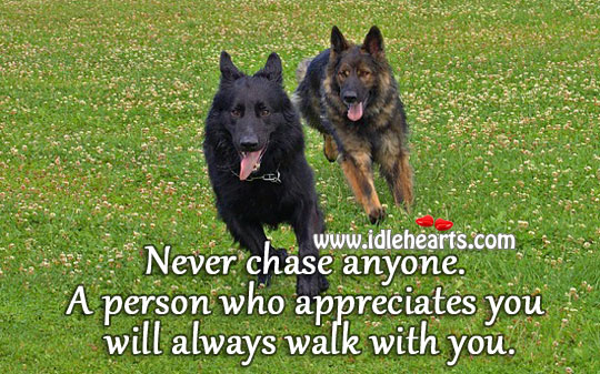 Never chase anyone. Image