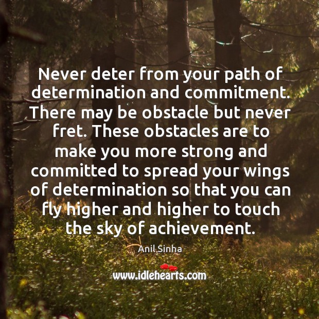 Never deter from your path of determination and commitment. There may be Anil Sinha Picture Quote