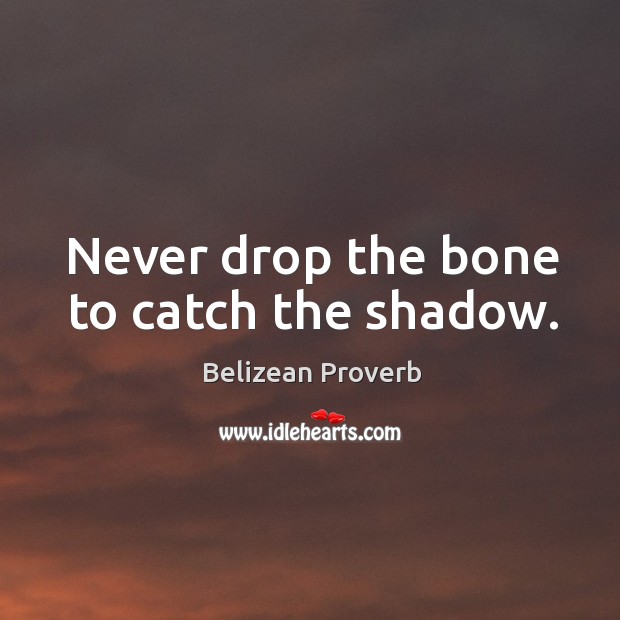 Never drop the bone to catch the shadow. Belizean Proverbs Image