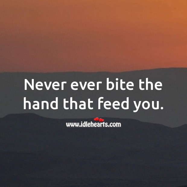 Never ever bite the hand that feed you. Hard Hitting Quotes Image