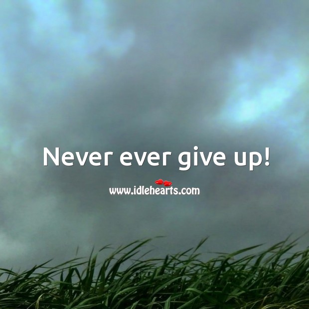 Never ever give up! Never Give Up Quotes Image