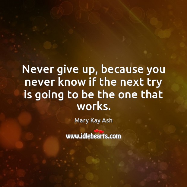 Never give up, because you never know if the next try is going to be the one that works. Mary Kay Ash Picture Quote