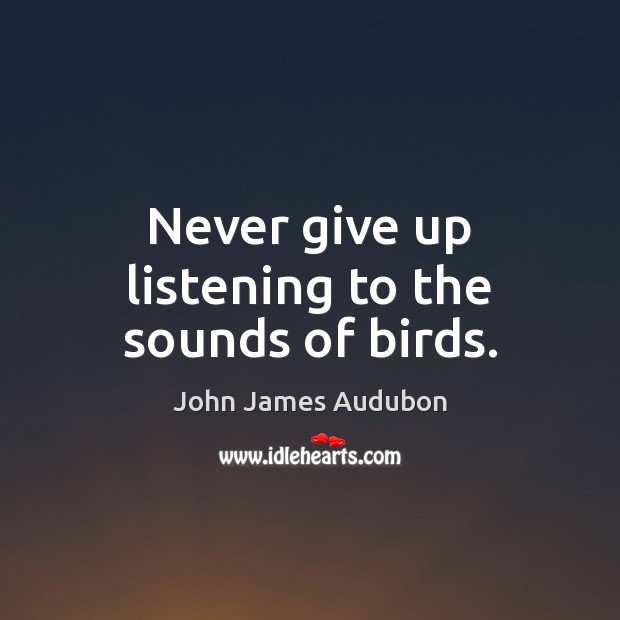 Never give up listening to the sounds of birds. John James Audubon Picture Quote