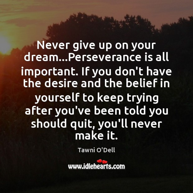 Never give up on your dream…Perseverance is all important. If you Perseverance Quotes Image