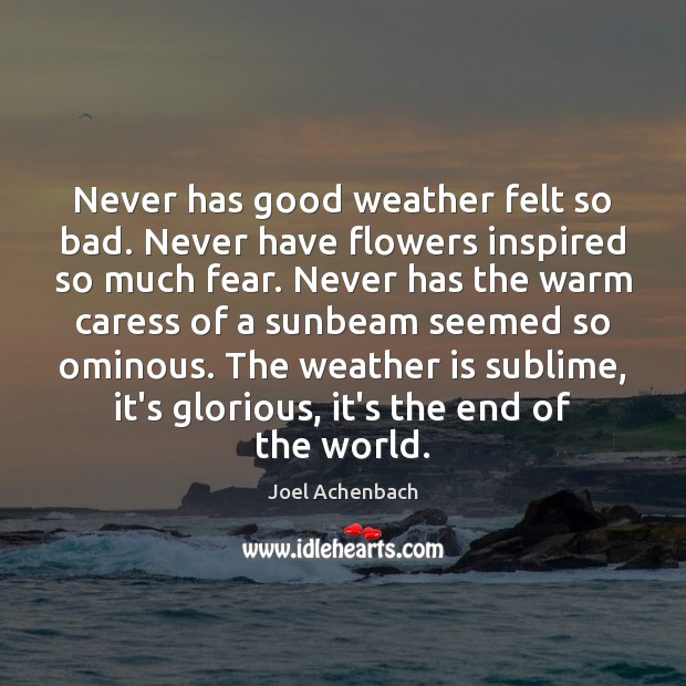 Never has good weather felt so bad. Never have flowers inspired so Joel Achenbach Picture Quote