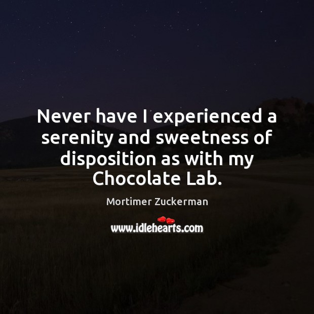 Never have I experienced a serenity and sweetness of disposition as with my Chocolate Lab. Image