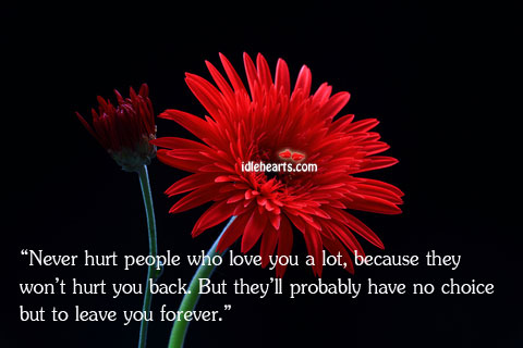 Never hurt people who love you. People Quotes Image