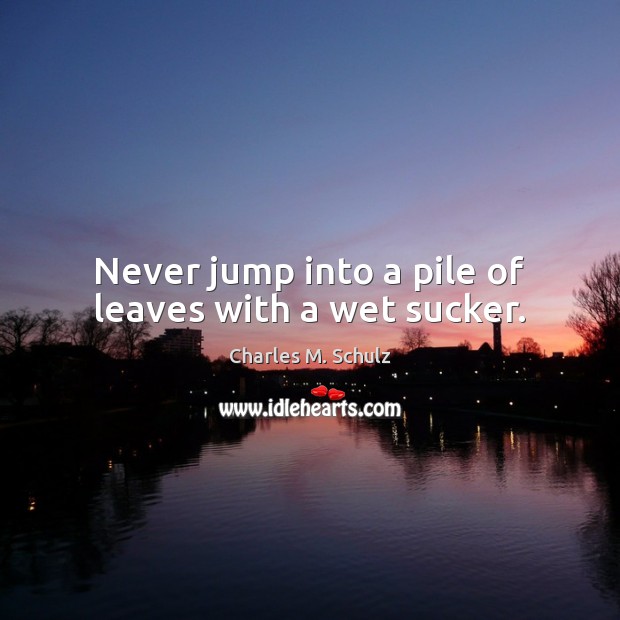 Never jump into a pile of leaves with a wet sucker. Charles M. Schulz Picture Quote