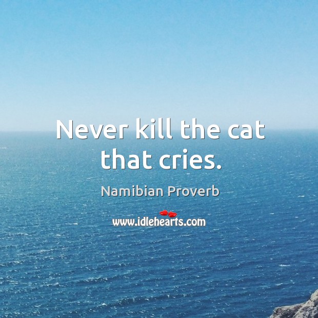 Never kill the cat that cries. Namibian Proverbs Image