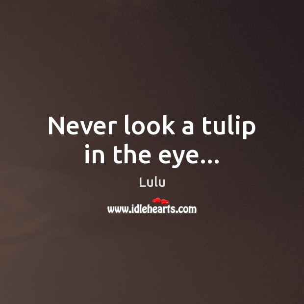 Never look a tulip in the eye… Lulu Picture Quote