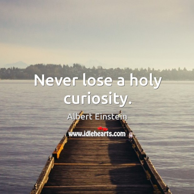 Never lose a holy curiosity. Image