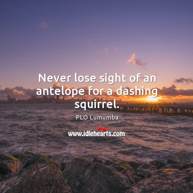 Never lose sight of an antelope for a dashing squirrel. PLO Lumumba Picture Quote