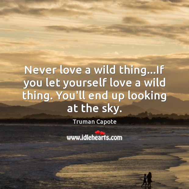 Never love a wild thing…If you let yourself love a wild Truman Capote Picture Quote