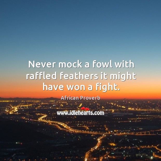 Never mock a fowl with raffled feathers it might have won a fight. Image