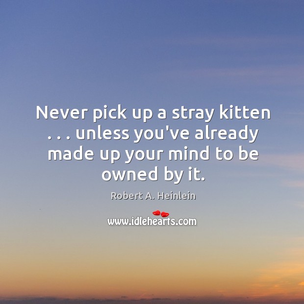 Never pick up a stray kitten . . . unless you’ve already made up your Image