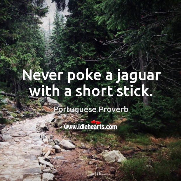 Never poke a jaguar with a short stick. Portuguese Proverbs Image