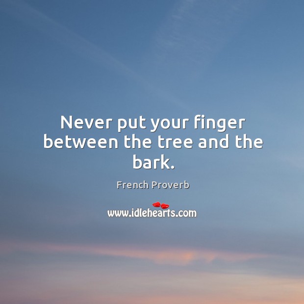 Never put your finger between the tree and the bark. Image