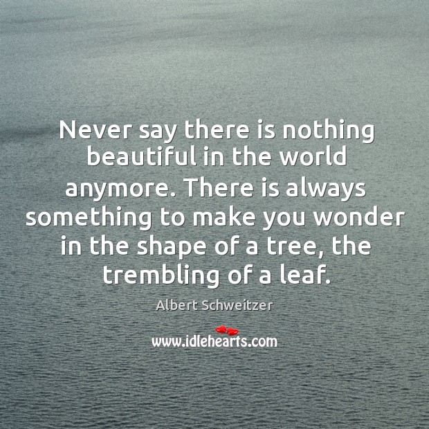 Never say there is nothing beautiful in the world anymore. Albert Schweitzer Picture Quote