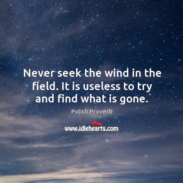Never seek the wind in the field. It is useless to try and find what is gone. Polish Proverbs Image