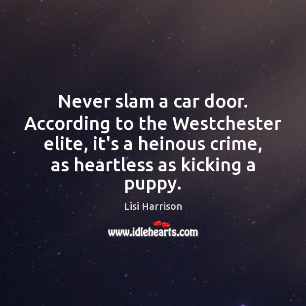 Never slam a car door. According to the Westchester elite, it’s a Lisi Harrison Picture Quote