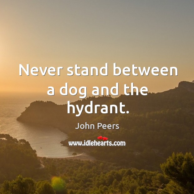 Never stand between a dog and the hydrant. John Peers Picture Quote