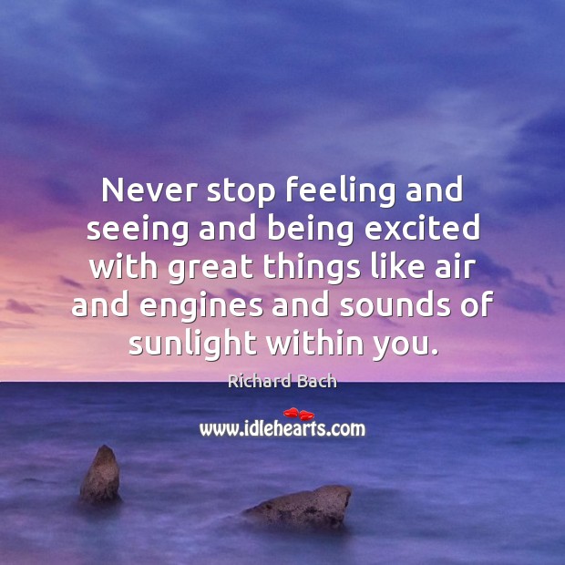 Never stop feeling and seeing and being excited with great things like Richard Bach Picture Quote