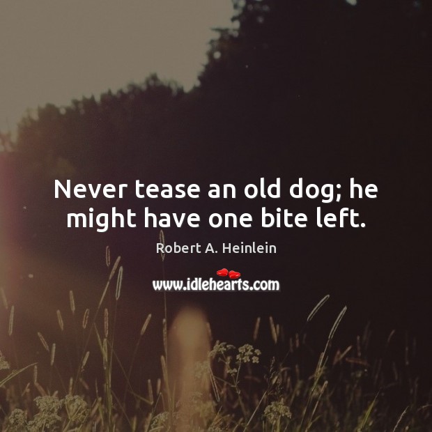 Never tease an old dog; he might have one bite left. Robert A. Heinlein Picture Quote