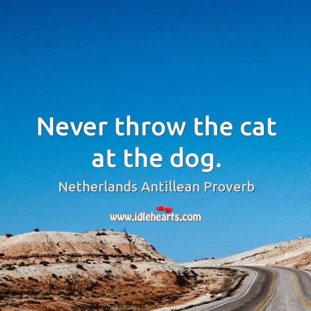 Never throw the cat at the dog. Image