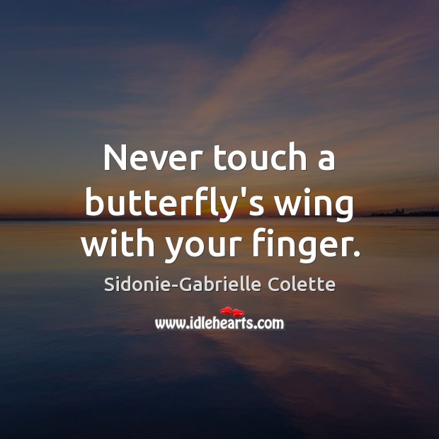Never touch a butterfly’s wing with your finger. Sidonie-Gabrielle Colette Picture Quote