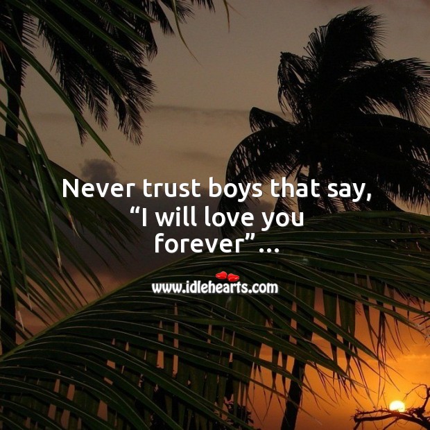 Never trust boys that say, “i will love you forever”. Never Trust Quotes Image